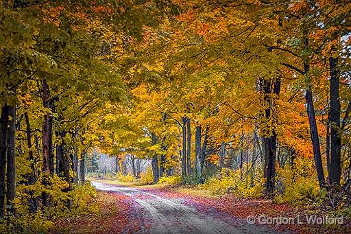 Autumn Back Road_P1200254.jpg - Photographed near Toledo, Ontario, Canada.